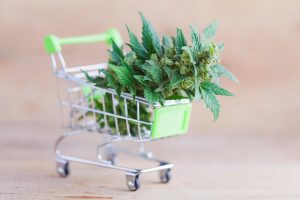 assurance responsabilité produits cbd chanvre